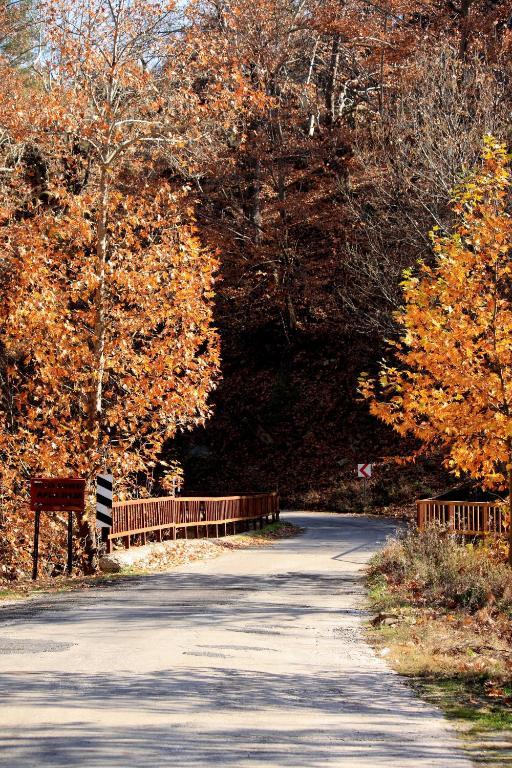 St.Paul Yol Pansiyon Kasımlar エクステリア 写真